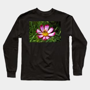 Bee on a Flower Long Sleeve T-Shirt